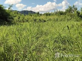  Terrain for sale in Rawai, Phuket Town, Rawai