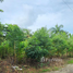  Terrain à vendre à Cabarete., Sosua, Puerto Plata