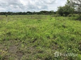  Land for sale in Guanacaste, Liberia, Guanacaste