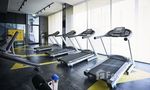 Communal Gym at Plum Condo Ram 60 Interchange