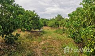 N/A Land for sale in Thung Tom, Chiang Mai 