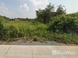  Земельный участок for sale in Na Mai, Lat Lum Kaeo, Na Mai