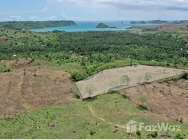  Tanah for sale in West Nusa Tenggara, Pujut, Lombok Tengah, West Nusa Tenggara