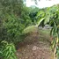 2 Bedroom House for sale in Chachoengsao, Khlong Khuean, Khlong Khuean, Chachoengsao