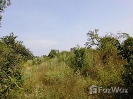  Земельный участок for sale in Na Klang, Sung Noen, Na Klang