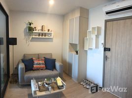 1 Bedroom Condo for rent at Ideo O2, Bang Na, Bang Na, Bangkok, Thailand