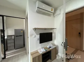 คอนโด 1 ห้องนอน ให้เช่า ในโครงการ ไลฟ์ อโศก, บางกะปิ