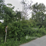  Land for sale in Hang Chat, Lampang, Pong Yang Khok, Hang Chat