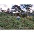  Land for sale in Nova Friburgo, Rio de Janeiro, Nova Friburgo, Nova Friburgo