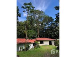 2 Schlafzimmer Haus zu verkaufen in Osa, Puntarenas, Osa