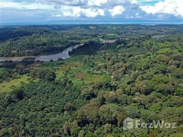  Grundstück zu verkaufen in Golfito, Puntarenas, Golfito