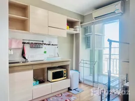 อพาร์ทเม้นท์ 1 ห้องนอน ให้เช่า ในโครงการ ลุมพินี เพลส พระราม 4-กล้วยน้ำไท, พระโขนง