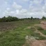  Land for sale in Wang Bua, Kamphaeng Phet, Wang Bua, Khlong Khlung, Kamphaeng Phet, Thailand