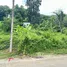 ขายที่ดิน ใน ภูเก็ต, ฉลอง, เมืองภูเก็ต, ภูเก็ต