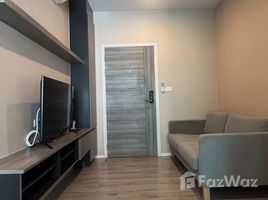 1 Bedroom Condo for rent at Notting Hill Sukhumvit 105, Bang Na