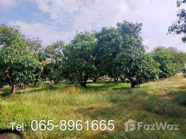  Land for sale in Thailand, Khok Sa-At, Nong Saeng, Saraburi, Thailand