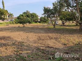 在清迈出售的 土地, San Sai Noi, 讪柿, 清迈