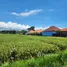 在里岛出售的 土地, Mengwi, Badung, 里岛