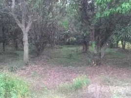 ขายที่ดิน ใน สันนาเม็ง, เชียงใหม่, สันนาเม็ง