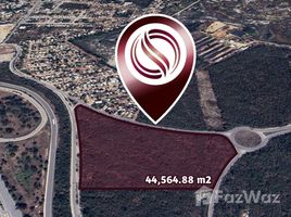  Land for sale in Yucatan, Merida, Yucatan