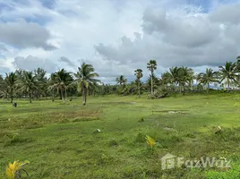  Terrain for sale in Phangnga, Khok Kloi, Takua Thung, Phangnga