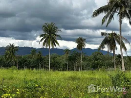  Land for sale in Thailand, Thai Mueang, Phangnga, Thailand