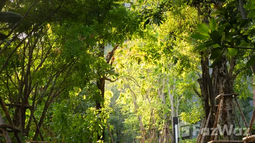 รูปถ่าย 1 of the Walking / Running Track at วิซดอม ค็อนเน็ค สุขุมวิท