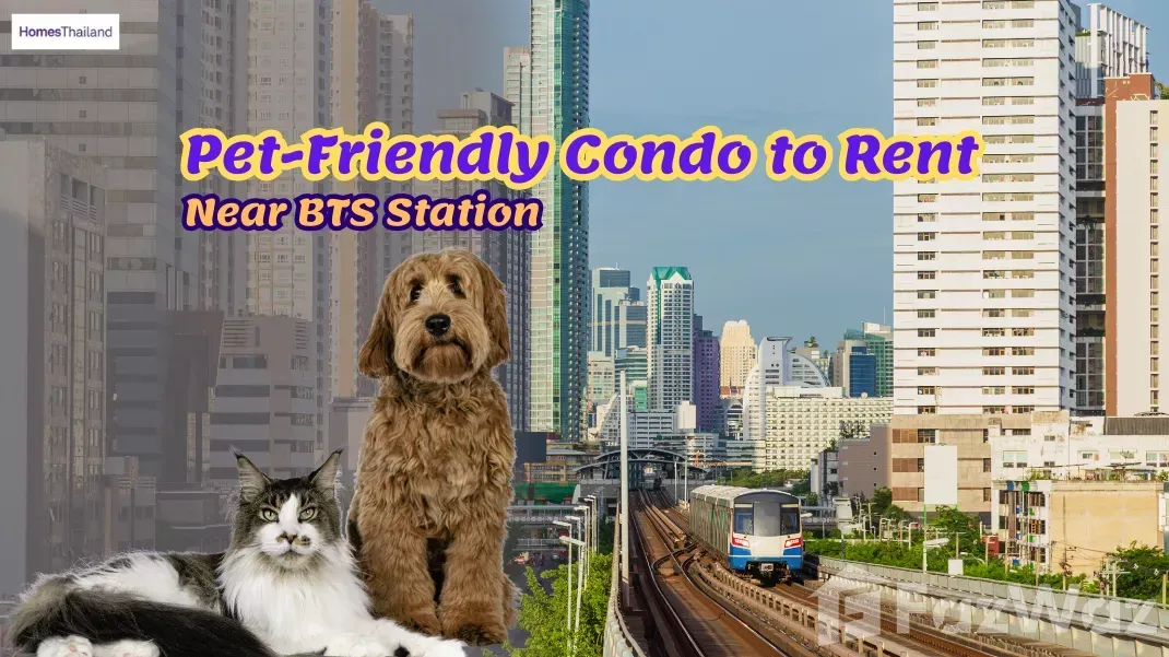 Pet-Friendly Condo to Rent Near BTS Station