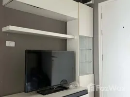 1 Bedroom Condo for rent at Aspire Sukhumvit 48, Phra Khanong, Khlong Toei, Bangkok, Thailand