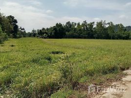 Terrain for sale in Nakhon Sawan, Ban Daen, Banphot Phisai, Nakhon Sawan