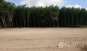 N/A Grundstück zu verkaufen in Nong Lalok, Rayong 