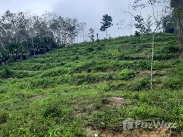  Land for sale in Songkhla, Khlong Kwang, Na Thawi, Songkhla