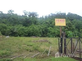  Terreno (Parcela) en venta en Aguirre, Puntarenas, Aguirre