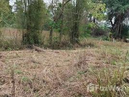  Земельный участок for sale in Nam Nao, Phetchabun, Nam Nao, Nam Nao