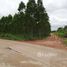  Land for sale in Prachin Buri, Nong Ki, Kabin Buri, Prachin Buri