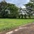  Land for sale in Costa Rica, San Carlos, Alajuela, Costa Rica
