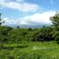 Guanacaste Large building lot overlooking Lake Arenal: Lot L&Z : put your ideas to work, El Roble, Guanacaste N/A 土地 售 