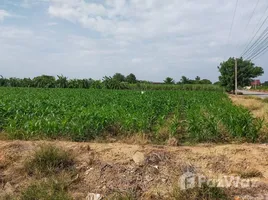  Grundstück zu verkaufen in Tha Muang, Kanchanaburi, Tha Muang, Tha Muang, Kanchanaburi