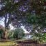  Land for sale in Escazu, San Jose, Escazu