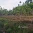  Land for sale in Rayong, Wang Wa, Klaeng, Rayong