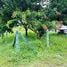  Terreno (Parcela) en venta en Costa Rica, Pococi, Limón, Costa Rica