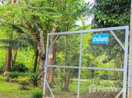 N/A Land for sale in Khi Lek, Chiang Mai Land For Sale 44 Rai Mixed Fruit Gardens