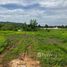  Земельный участок for sale in Sam Phraya, Пхетчхабури, Sam Phraya