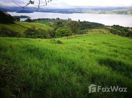 N/A Terreno (Parcela) en venta en , Guanacaste VISTA HERMOSA: Countryside and Mountain Agricultural Land For Sale in Tronadora, Tronadora, Guanacaste