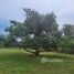  Land for sale in Thailand, Sam Roi Yot, Sam Roi Yot, Prachuap Khiri Khan, Thailand