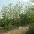  Land for sale in Bueng Nakhon, Hua Hin, Bueng Nakhon