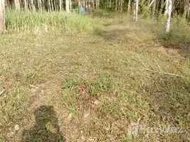  Land for sale in Chumphon, Khron, Sawi, Chumphon