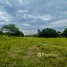  Land for sale in Phe, Rayong, Phe, Mueang Rayong, Rayong, Thailand