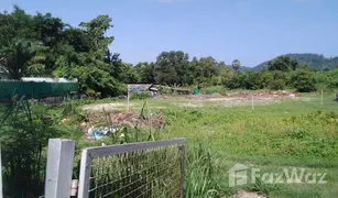 N/A Land for sale in Rawai, Phuket 