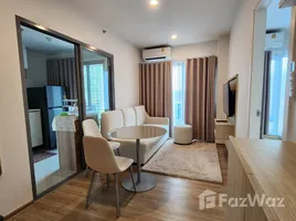 คอนโด 1 ห้องนอน ให้เช่า ในโครงการ ฟีล ภูเก็ต บาย เซนทรัล พัฒนา, วิชิต